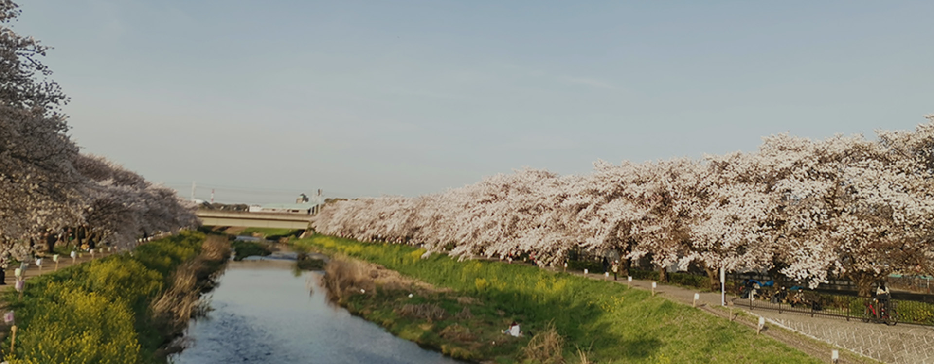 塩味法律事務所